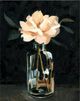 Classy Living Emma Caroline Dark Rose Arrangement I 22"W Wall Art-1