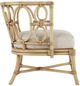 Currey & Company Tegal Finn Natural Chair-2