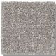 Shaw® Floors Simply The Best Transform Steel Beam Carpet-0