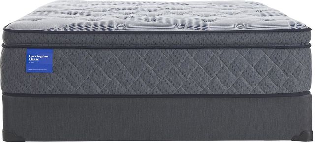 Sealy® Carrington Chase Excellence Grace 14.5" Wrapped Coil Plush Euro Pillow Top Queen Mattress-3