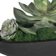 Uttermost® Verde Black/Green Succulent Centerpiece in Bowl-5