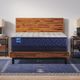 Sealy® Carrington Chase Wild Canyon 12.5" Wrapped Coil Firm Tight Top Twin Mattress-2