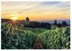 YHD Wine Country Wall Art-0