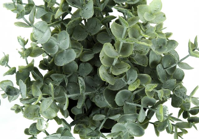 Monarch Specialties Inc. 2-Piece Black 11" Tall Artificial Potted Eucalyptus Grass-3