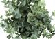 Monarch Specialties Inc. 2-Piece Black 11" Tall Artificial Potted Eucalyptus Grass-3
