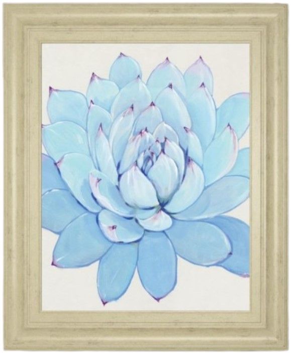 Classy Living Tim OToole Pastel Succulent II Wall Art-0