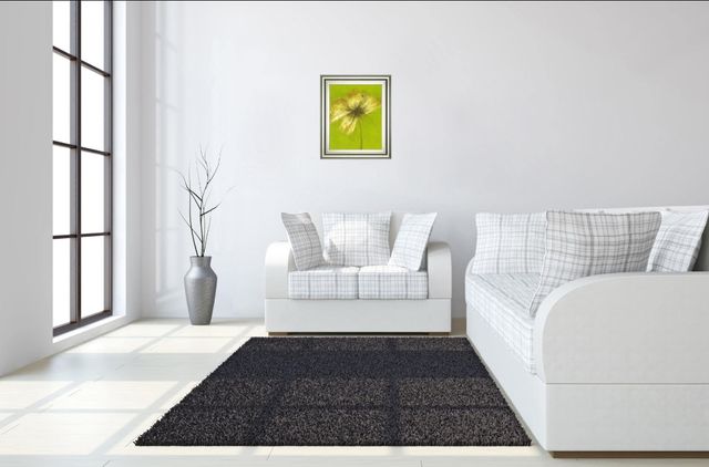 Classy Living Emma Forrester Floral Burst Vl Wall Art-1