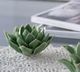 A & B Home Green Blooming Artichoke Candle Holder-5
