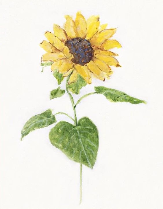 Classy Art Sunflower I by Sally Swatland Framed Wall Art-2