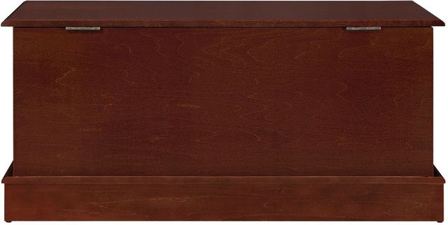 Coaster® Paula Cedar Warm Brown Rectangular Chest-1