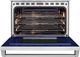 Wolf® 36" Stainless Steel Pro Style Induction Range-1