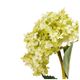 A & B Home Green 34" Faux French Hydrangea-1