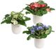Uttermost® Trilogy Primrose 3-Piece Green/White Accents in Vases Set-2