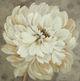 Stylecraft Blooming In Neutral II Gold/Gray Wall Art-1