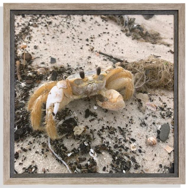 Stylecraft Beige/Dark Yellow Wall Art-0