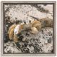 Stylecraft Beige/Dark Yellow Wall Art-0
