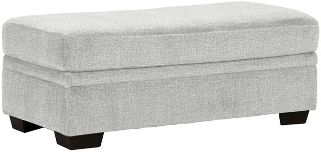 Behold™ Home Pippa Light Gray Storage Ottoman-0
