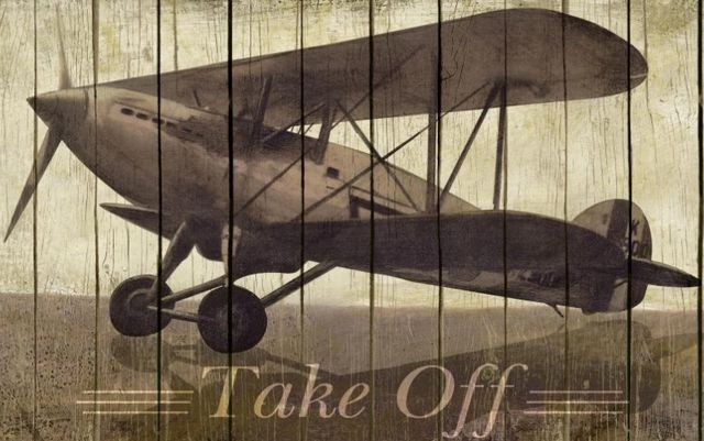 Classy Art Take Off by Merri Pattinian Wall Art-1
