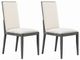 ACME Furniture Venezia 2-Piece Gray Side Chair Set-0
