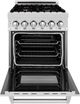 ZLINE 24" DuraSnow® Stainless Steel Freestanding Dual Fuel Range-1