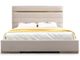 VIG Furniture Modrest Cartier Beige Velvet/Brass Queen Panel Bed-1