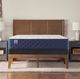Sealy® Safa Park 12.5" Wrapped Coil Soft Tight Top Full Mattress-1