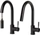 ZLINE Autograph Edition Matte Black Arthur Pull Down Single Handle Kitchen Faucet-4