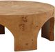 Dovetail Furniture Paulette Burl Coffee Table-3