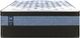 Sealy® Posturepedic® Plus Mason 12" Wrapped Coil Firm Euro Top Queen Mattress-4