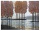 StyleCraft Island and Streams Wall Art-0