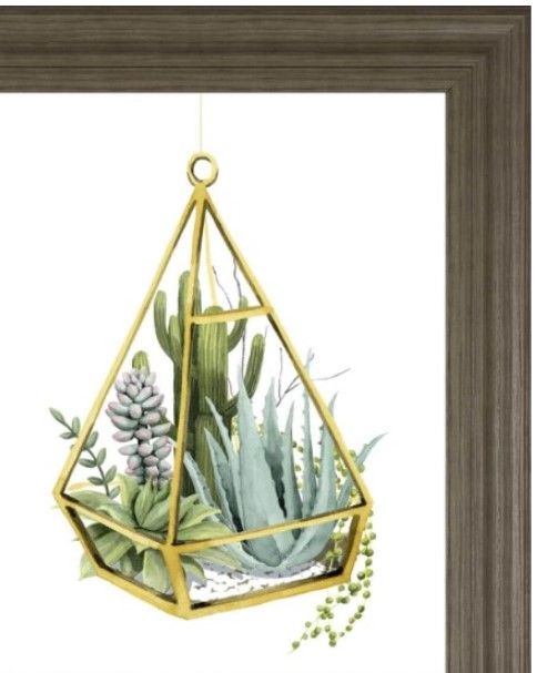 Classy Living Grace Popp Wild Terrarium III Wall Art-1