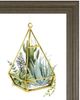 Classy Living Grace Popp Wild Terrarium III Wall Art-1