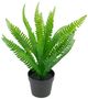 A & B Home Green Fern with Pot-1