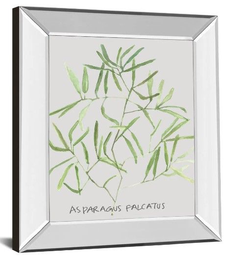 Classy Art Asparogus Falcatus by Katrien Soeffers Mirror Framed Wall Art-1