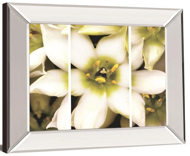 Classy Art Star Of Bethlehem Triptych By Levine A. Mirror Framed Wall Art-0