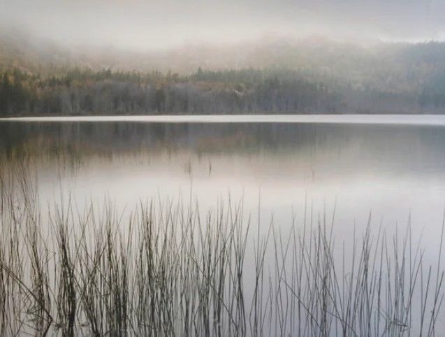 Stylecraft Lake Fog Gray/Green/White Wall Art-1