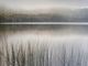 Stylecraft Lake Fog Gray/Green/White Wall Art-1