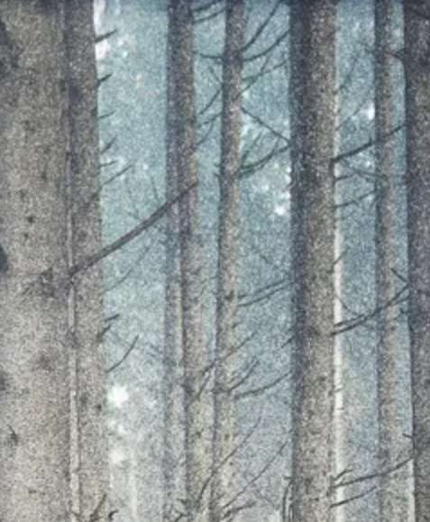 Stylecraft Forest Dreaming II Black/Light Brown/Light Gray Wall Art -2
