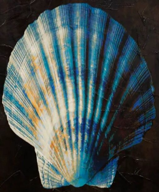 Stylecraft Ocean Treasure II Textured Framed Print-1