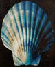 Stylecraft Ocean Treasure II Textured Framed Print-1