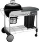 Weber® Performer® Deluxe 22" Black Freestanding Charcoal Grill-2