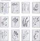 Uttermost® by Grace Feyock Contemporary Botanicals 12-Piece Monochromatic Framed Prints-1