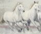 Stylecraft Running Wild Gray/White Wall Art -1