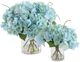 Uttermost® Tranquil 2-Piece Blue/Clear Blooms In Glass Vases Set-2