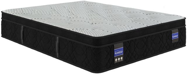 Spring Air® Back Supporter Hannah 13" Hybrid Plush Euro Top Queen Mattress-0