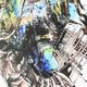 YHD Root Village Canvas-4