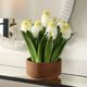 Uttermost® Sincerity Green/Terracotta/White Potted Hyacinth Plant-1