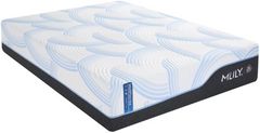 MLILY® Wellflex Ice 1.0 Memory Foam 14" Firm Tight Top Queen Mattress in a Box