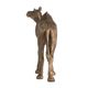 A & B Home Copper Camel-3