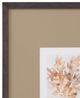 Bassett Mirror Parchment Coral IV Framed Print-1